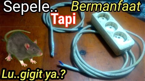 kabel listrik rusak karena tikus